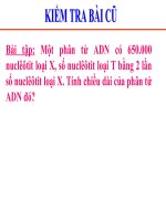 Quy luật phân li độc lập