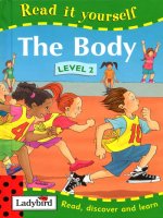 the body level 2