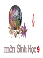 Đề Thi HSG cấp tỉnh môn Toán năm học 2011-2012