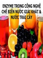 ứng dụng của enzyme trong sản xuất nước ép táo