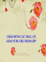 TRUYEN CUOI  Tam dai con ga va Nhung no phai bang 2may