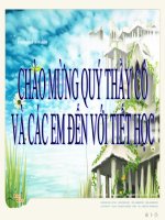 bai 12 sau benh hai cay trong