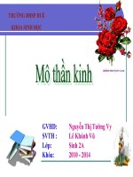 Mô thần kinh