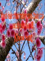 Âm thanh trong cuộc sống