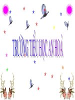 GIỮ SẠCH MÔI TRƯỜNG XUNG QUANH NHÀ Ở