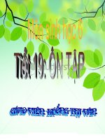Tiết 19 - Ôn tập (đã sửa chữa)