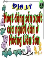 ĐL4 BÀI : HĐSX CỦA NGƯỜI DÂN Ở HOÀNG LIÊN SƠN