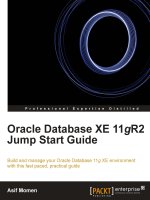 oracle database xe a11gr2 jump start guide