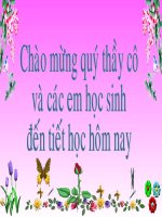 bài 18 PHÒNG TRÁNH TNGT - Thi GVG