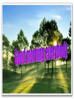 Unit 6 Language focus