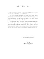 Lý thuyết jacobian xấp xỉ và ứng dụng