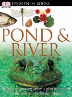 pond and river - eyewitness books