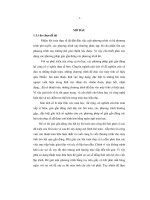 Một số phương pháp giải phương trình toán tử phi tuyến