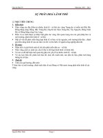 Tiết 19 Địa lí 9