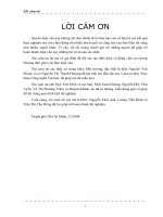 Luận văn thu hồi kim loại nặng