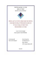 Phân lập và tuyển chọn một số chủng nấm sợi có hoạt tính kháng khuẩn từ đất ở quận thốt nốt thành phố cần thơ