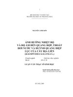 Ảnh hưởng nhiệt độ và độ ẩm đến quang hợp, thoát hơi nước và huỳnh quang diệp lục của cây địa liền