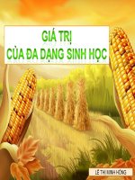 Giá trị của đa dạng sinh học