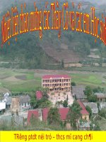 TIẾT 19 - BÀI 11 -  HÌNH THOI - CÓ SƠ ĐỒ TƯ DUY