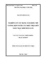 Nghiên cứu sử dụng tấm biểu mô cuống rốn nuôi cấy điều trị loét giác mạc khó hàn gắn