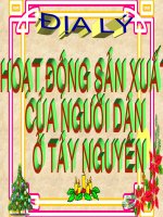 ĐL4 BÀI : HĐSX CỦA NGƯỜI DÂN Ở TÂY NGUYÊN