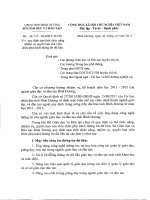 Quy định tạm thời chức danh CNTT