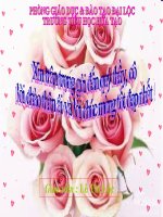 TRUNG THU ĐỘC LẬP - TUẦN 7