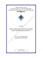 Khảo sát hiện trạng và đề xuất giải pháp quản lý rừng ở trung tâm hòa an