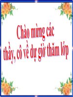 tiết 17- sự biến đổi chất.ppt