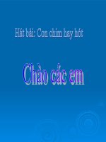 ĐL5 BÀI : ĐỊA HÌNH VÀ KHOÁNG SẢN