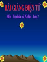 TNXH TUAN 27 dong vat song  dau