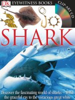shark - eyewitness books