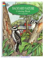 backyard nature coloring book