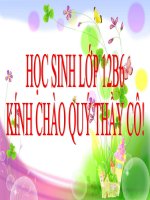 Bài Luật thơ (Tiết 1)