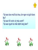 bài giảng sinh học lớp 10