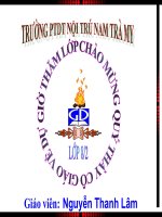 HINH THOI CO SDTD+ VIOLET HAY