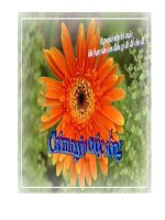 Tình yêu cuộc sống