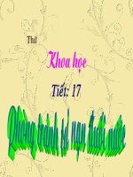 KH4 BÀI :PHONGTF TRÁNH TAI NẠN CHẾT ĐUỐI