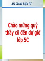 Luyện tập Tả cảnh-Tiết 12