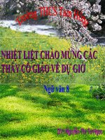 chiéc lá cuoi cùng hoàn chỉnh