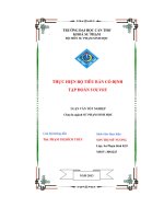 Thực hiện bộ tiêu bản cố định tập đoàn volvox