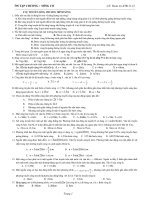 On song co- Nđịnh