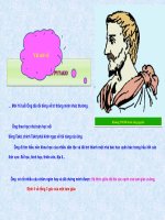 TONG 3 GOC TRONG TAM GIAC kiểu sọan mới lạ