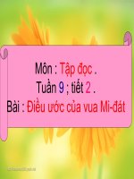 TĐ BÀI : ĐIỀU ƯỚC CỦA VUA MI - ĐÁT