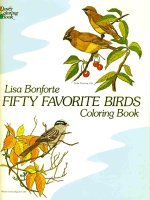 fifty favorite birds coloring book