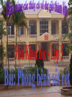 Phòng bệnh sốt rét