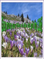 BAI 20 TAO GIONG BANG CONG NGHE GEN -TRIEN