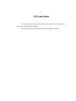 Vận dụng lý thuyết giao tiếp vào dạy học đọc hiểu cho học sinh lớp 4, lớp 5