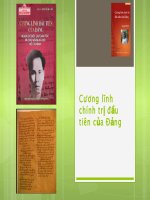 Cương lĩnh đầu tiên của Đảng