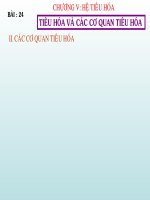 Tiet 24-Bai 24-Tieu hoa va cac co quan tieu hoa